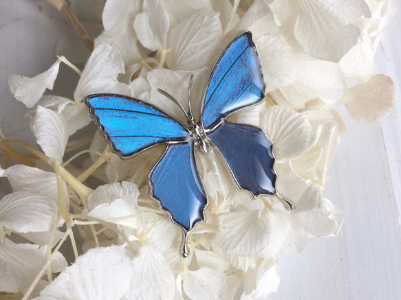 バタフライウィング クリノリンレディ モルフォ蝶ブローチ 1920年代英国製アンティーク銀製モルフォ蝶ブローチ