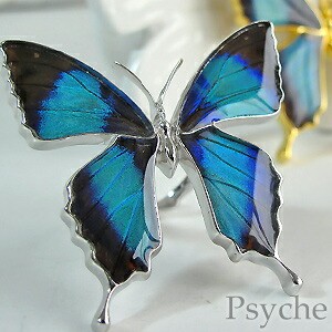 【184】リング／蝶々／レジン／オーバル