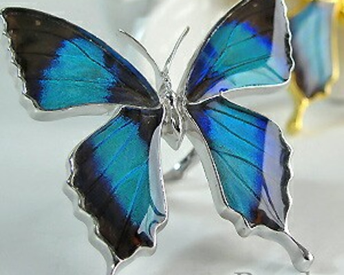 0_95b1791df88833f8bd339ce0276a