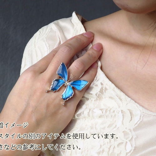 本物の蝶の羽 蝶リング ドクソコパチェルビナ [ps002-gr] 指輪・リング