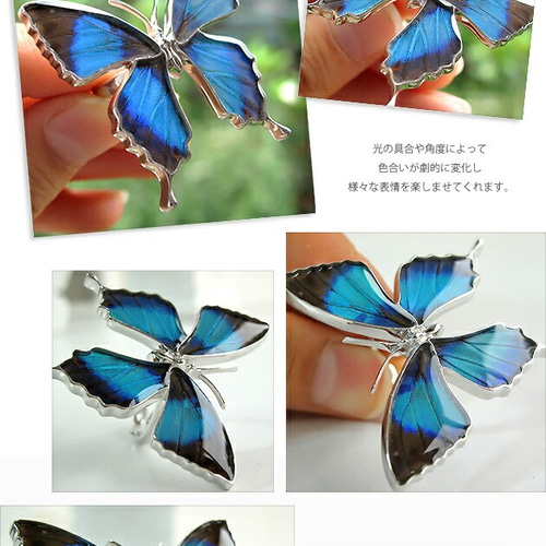 本物の蝶の羽 蝶リング ドクソコパチェルビナ [ps002-gr] 指輪・リング