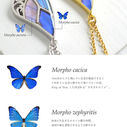 本物の蝶の羽　上羽ネックレス　3種モルフォ　ゴールド[ps068-g] 5枚目の画像