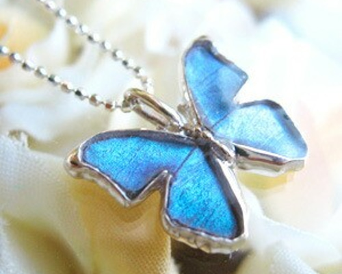 0_969e54bb13aca13d527c5a39718a