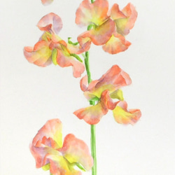 0_e3deeafd750d950bc877f18e7084