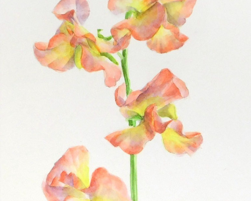 0_e3deeafd750d950bc877f18e7084