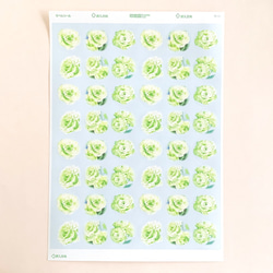 薄緑のトルコキキョウ 丸シール６種１シート４８枚 2枚目の画像