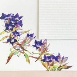 リンドウのメッセージカード2種×2枚　封筒付き 6枚目の画像
