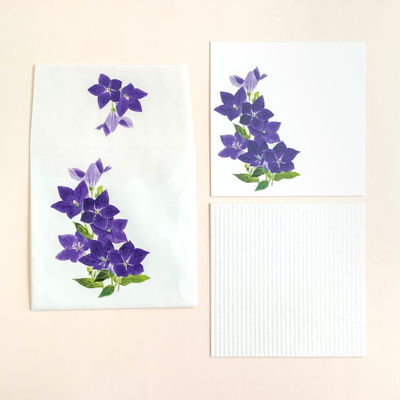 キキョウのメッセージカード2種×2枚　封筒付き 3枚目の画像