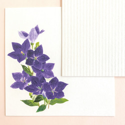 キキョウのメッセージカード2種×2枚　封筒付き 5枚目の画像