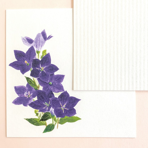 キキョウのメッセージカード2種×2枚　封筒付き 5枚目の画像