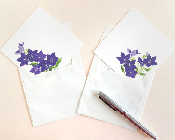 キキョウのメッセージカード2種×2枚　封筒付き 9枚目の画像