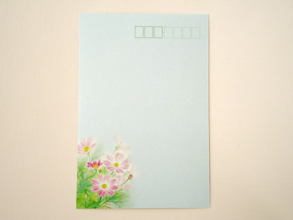 ☆ポストカード3枚セット☆103「コスモス」☆ 4枚目の画像