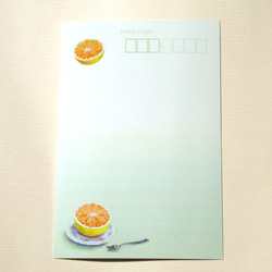 ☆ポストカード3枚セット☆203「グレープフルーツ」☆ 4枚目の画像
