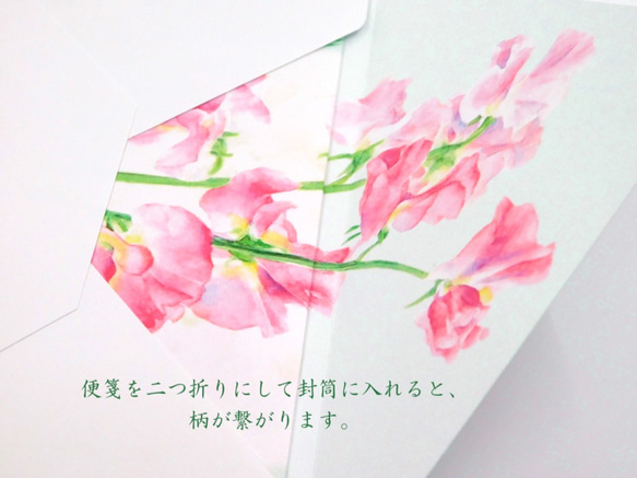 続き模様のレターセット　スイートピー ～ピンク・グリーン～ 5枚目の画像