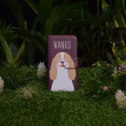 SALE! WANKO iPhone SE/5S 第1張的照片