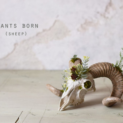 plants born （sheep)アーティフィシャルフラワー 5枚目の画像