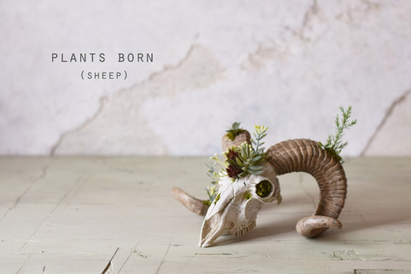 plants born （sheep)アーティフィシャルフラワー 5枚目の画像