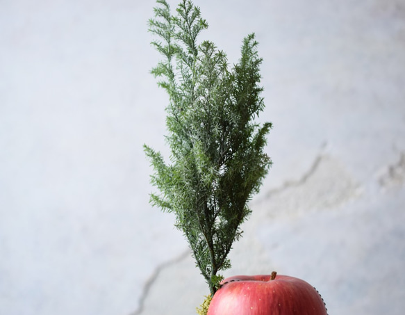 縫われたりんごと植物 4枚目の画像