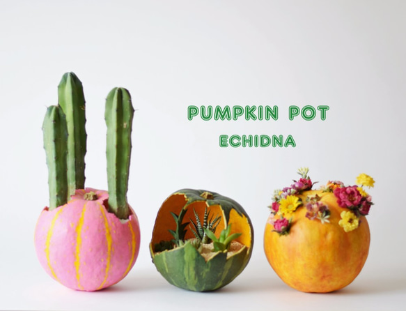 pumpkin pot（large)　フラワー 6枚目の画像