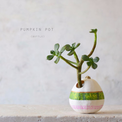 pumpkin pot　(bottle)　ライトグリーン 1枚目の画像