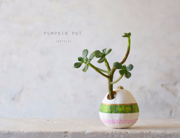 pumpkin pot　(bottle)　ライトグリーン 1枚目の画像