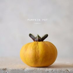 かぼちゃの器と植物のなんとも言えない一体感に思わず微笑むプランター（small）イエロー 1枚目の画像