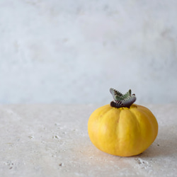 かぼちゃの器と植物のなんとも言えない一体感に思わず微笑むプランター（small）イエロー 3枚目の画像