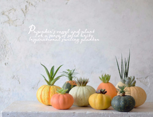 かぼちゃの器と植物のなんとも言えない一体感に思わず微笑むプランター（small）イエロー 4枚目の画像