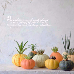 かぼちゃの器と植物のなんとも言えない一体感に思わず微笑むプランター（bottle）ホワイト 4枚目の画像