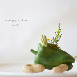 Green pepper dog（フセ）小型犬 2枚目の画像