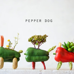 Green pepper dog（フェス）大型犬 4枚目の画像