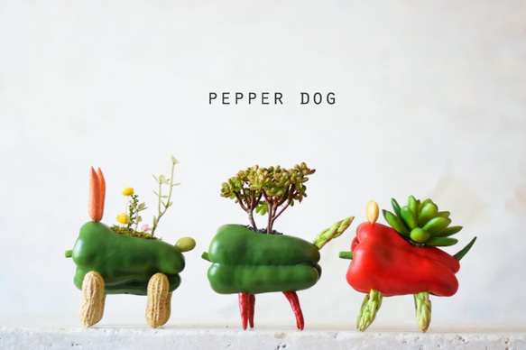 Green pepper dog（フェス）大型犬 4枚目の画像