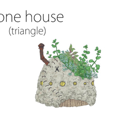 storn house（triangle) white 多肉植物 5枚目の画像