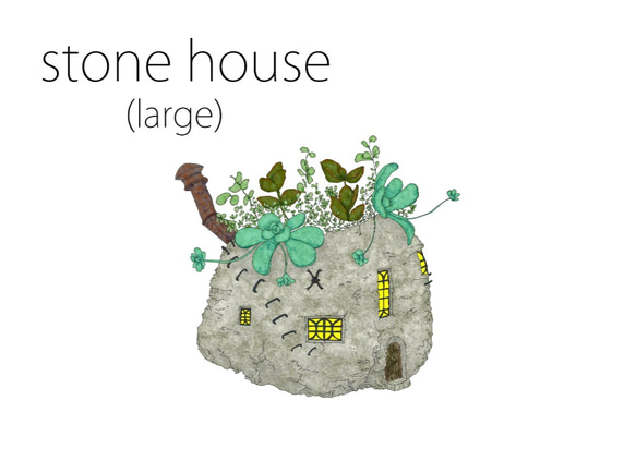 storn house（large)  white 多肉植物 5枚目の画像