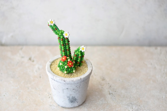 アクアサボテン おもちゃ・人形 NULL PLANTS 通販 5590920