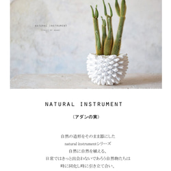 Natural instrument　アダンの実（white）黄金ひも 9枚目の画像