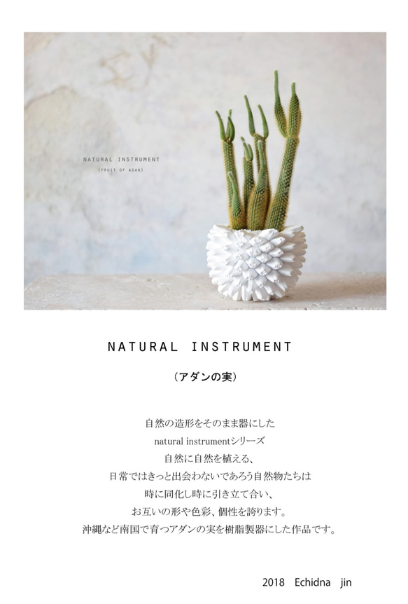 Natural instrument　アダンの実（white）黄金ひも 9枚目の画像