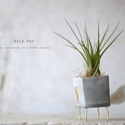 walk pot (gray) エアープランツ 1枚目の画像