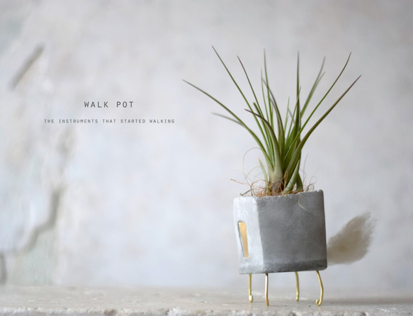 walk pot (gray) エアープランツ 1枚目の画像