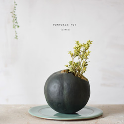 pumpkin pot（large) 西洋ツゲ エレガンテシマ 一輪挿し・花瓶・花器