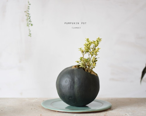 pumpkin pot（large) 西洋ツゲ エレガンテシマ 一輪挿し・花瓶・花器