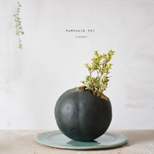 はなの器　花瓶　壺　ツボ　作家物　一輪挿し pumpkin pot（large) 西洋ツゲ エレガンテシマ 一輪挿し・花瓶・花器