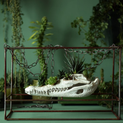 plants born （crocodile)　Iron frame 9枚目の画像