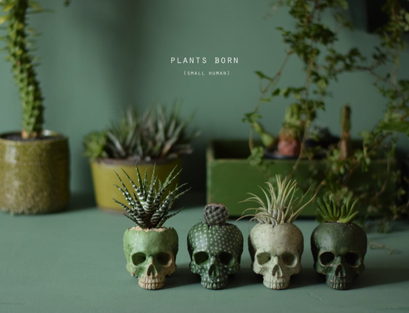 plants born （small human） グリーン 9枚目の画像