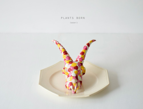 plants born （goat) petal 1枚目の画像