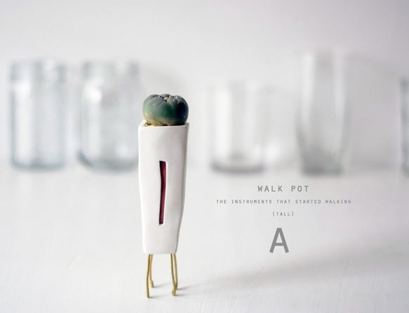 walk pot tall 植物 4枚目の画像