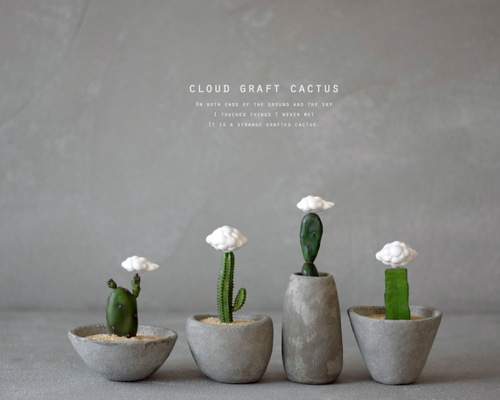 SORA♡様　確認用　サボテン7点 0_29713b262f197f0dff7d7c6b4e46