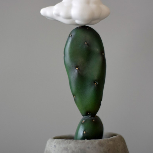 小さな雲の接木サボテン 立体・オブジェ NULL PLANTS 通販