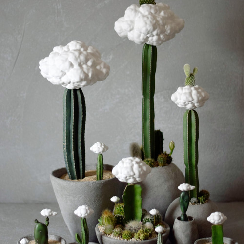 SORA♡様　確認用　サボテン7点 そら様、7点確認用 SORA♡様 確認用 サボテン7点 小さな雲