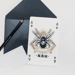 ポーカーシリーズ -  A / Black Widow  - カード/ポストカード 1枚目の画像